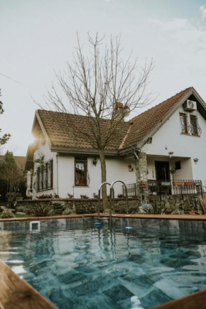 Villa Base Detached Villa with Hot pool